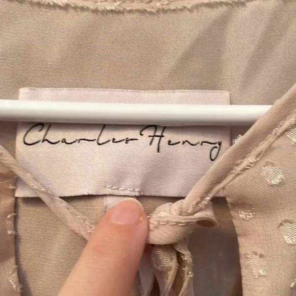 Charles Henry Long Sheer Dress - Picture 6 of 10